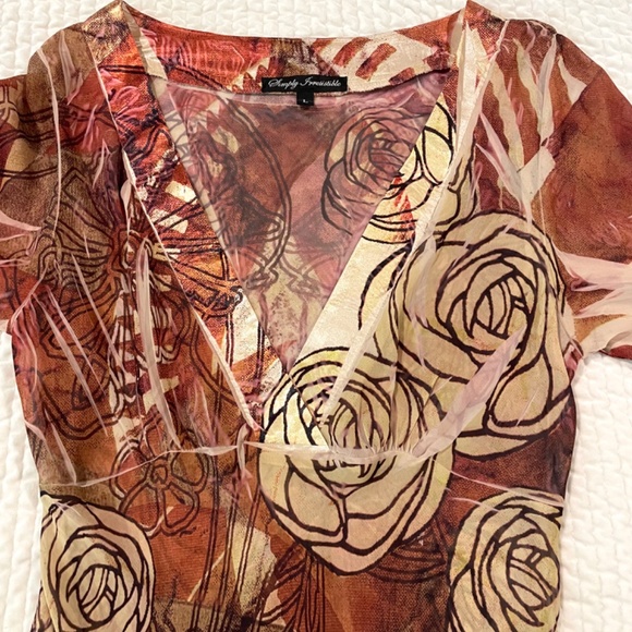 Simply Irresistible Sheer Plunge Neck Blouse - Picture 3 of 8